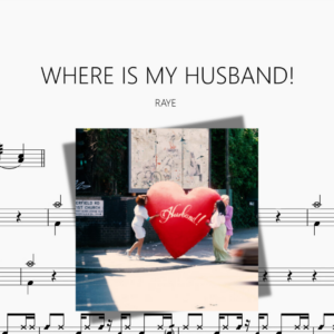 WHERE IS MY HUSBAND!【RAYE】