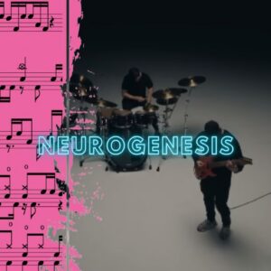 intervals & koan sound | neurogenesis drum cover