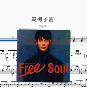 乌梅子酱 李荣浩