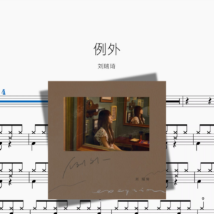 例外【刘瑞琦】