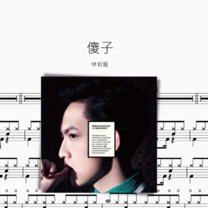 傻子【林宥嘉】