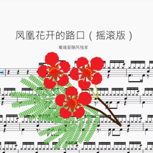 凤凰花开的路口【摇滚版】