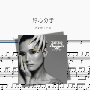 好心分手【卢巧音 王力宏】