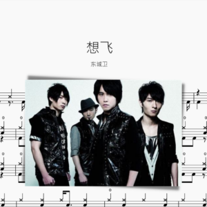 想飞 东城卫