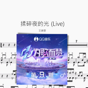 揉碎夜的光（Live）【王靖雯】