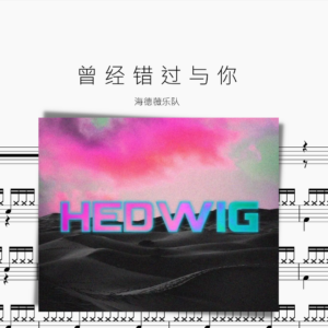 曾 经 错 过 与 你【海德薇乐队】