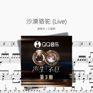 沙漠骆驼 Live【黄丽玲  王赫野】
