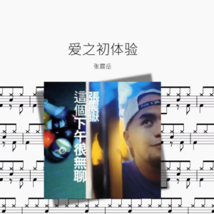 爱之初体验【张震岳】