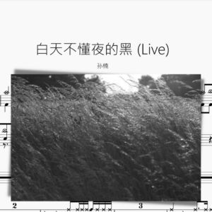 白天不懂夜的黑 (Live)【孫楠】