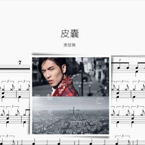 皮囊 萧敬腾