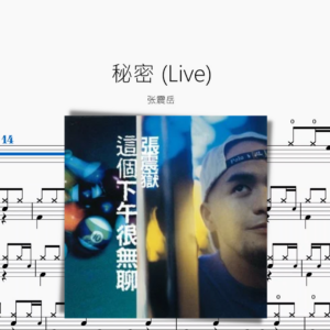 秘密（Live）张震岳