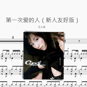 第一次爱的人（新人友好版）王心凌