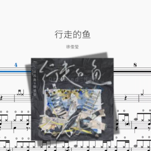 行走的鱼【徐佳莹】