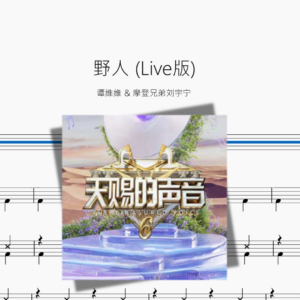 野人 Live版【谭维维 & 摩登兄弟刘宇宁】