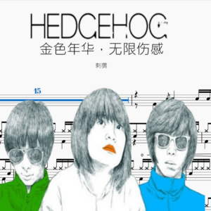 金色年華，無限傷感【刺猬】