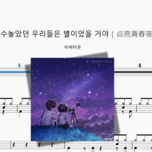 청춘의 밤을 수놓았던 우리들은 별이었을 거야（点亮青春夜晚的明星）【비버타운】