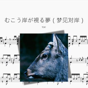 むこう岸が視る夢（梦见对岸）【toe】