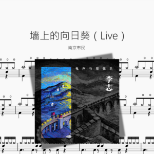 墙上的向日葵（Live）【南京市民】