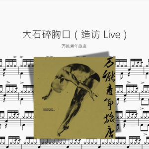 大石碎胸口（造访 Live）【万能青年旅店】